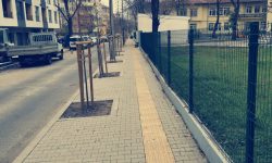 Савина Савова, кмет на район „Възраждане“: Променяме градската среда и в кварталите