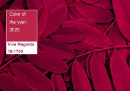 VIVA MAGENTA – ЦВЕТЪТ НА 2023